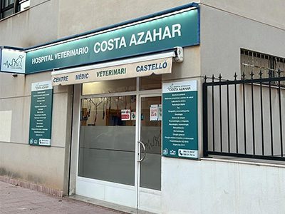 Hospital Veterinario VetPartners Costa Azahar - Castellón - Curso Auxiliar Veterinaria - Vetformacion