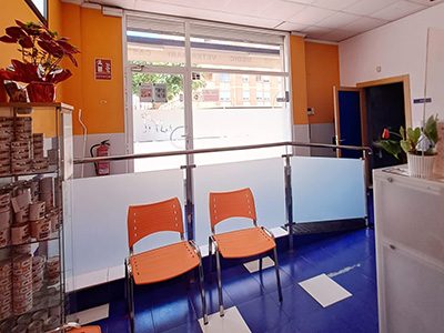 Hospital Veterinario VetPartners Costa Azahar - Castellón - Curso Auxiliar Veterinaria - Vetformacion