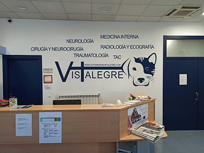 Hospital Veterinario Vistalegre IVC Evidensia - Burgos - Curso Auxiliar Veterinaria - Vetformacion