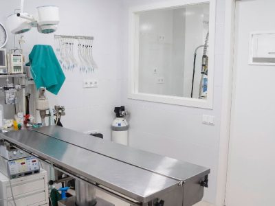 faucan cartagena hospital veterinario