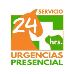 logo Los Delfines burgos