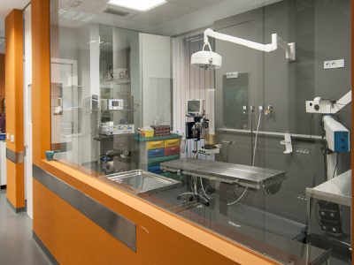 quirofano_hospital_veterinario_aitana