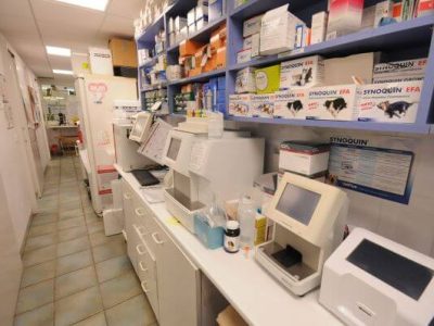 laboratorio clinica veteralia del mar