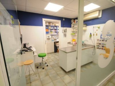 veteralia_sitges_consulta_veterinaria